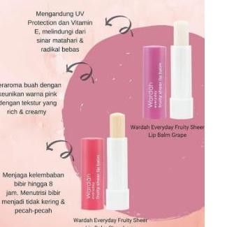(hàng Mới Về) Son Dưỡng Môi Wardah Everyday Hương Trái Cây