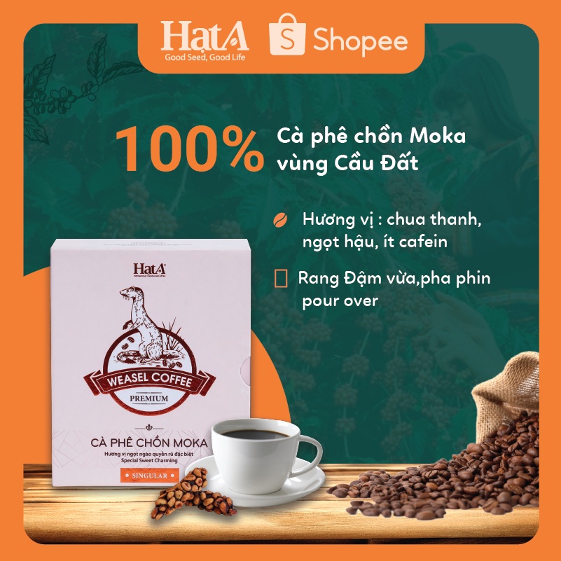 Cà phê chồn Moka Hạt A Cafe Premium Weasel Coffee vấn vương hương chocolate tuyệt hảo 120gr