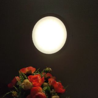 Đèn led gắn trần Philips
