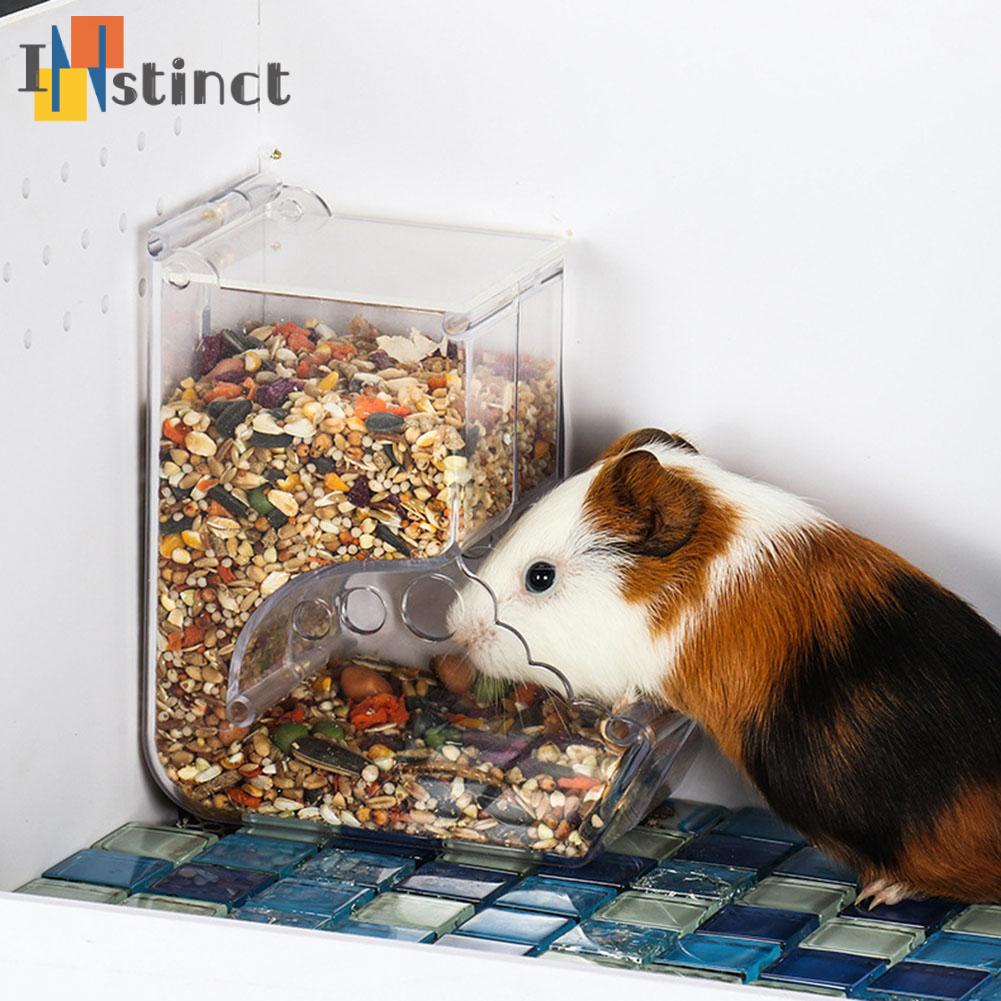 Hộp Đựng Thức Ăn Tự Động Trong Suốt Cho Chuột Hamster