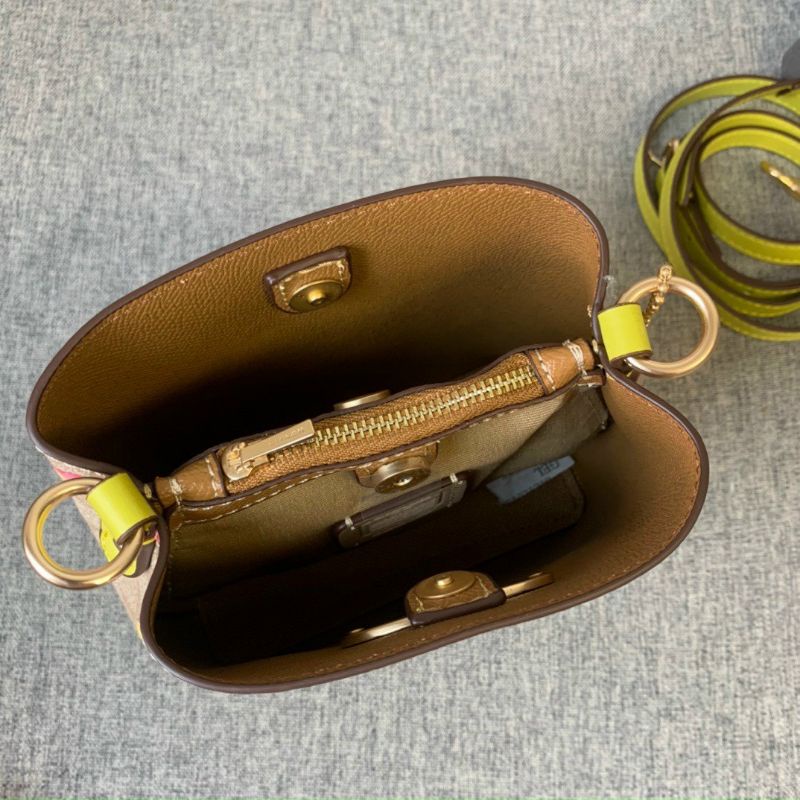 Túi coach bucket mini