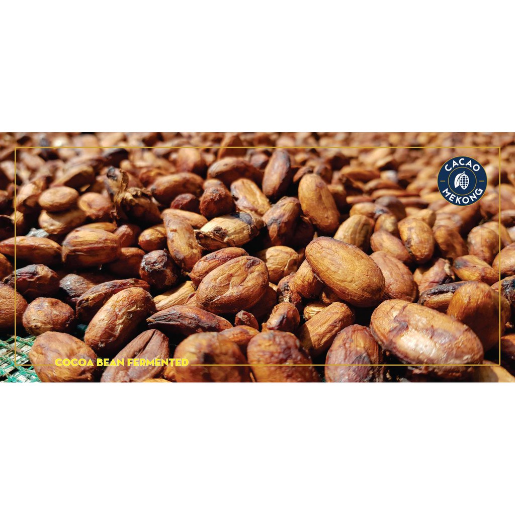 Hạt Cacao Khô Lên Men Tự Nhiên Nguyên Chất 100%