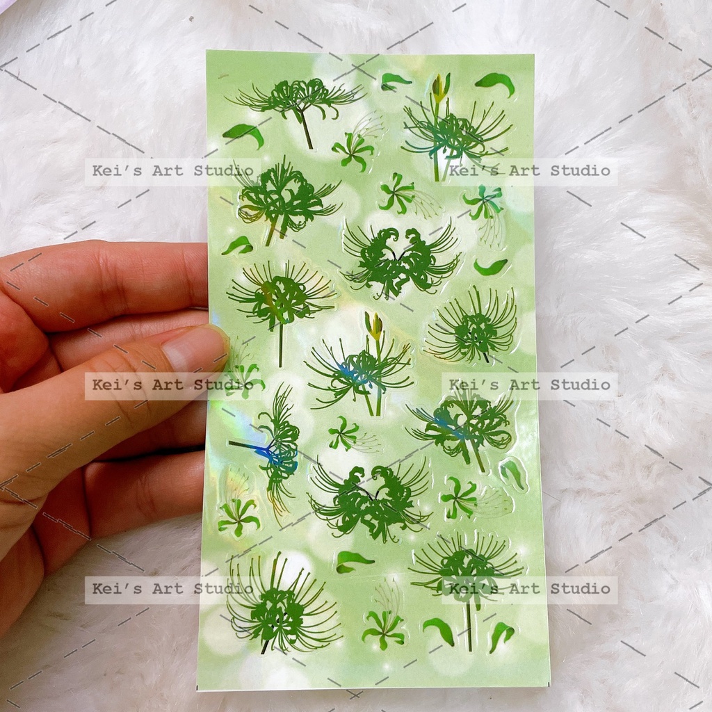 Mẫu hoa bỉ ngạn, trung quốc, nhiều màu, cán hologram