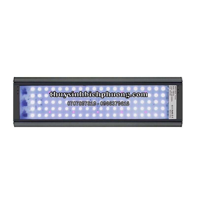 ĐÈN LED WEEK P600 P900 P1200 PRO ÁNH SÁNG WRGB | ÁNH SÁNG CHUYÊN NGHIỆP ĐIỀU KHIỂN QUA APP TỐT CHO HỒ THUỶ SINH