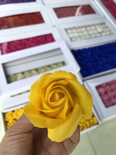 Hoa hồng sáp hộp 50 bông đẹp | BigBuy360 - bigbuy360.vn