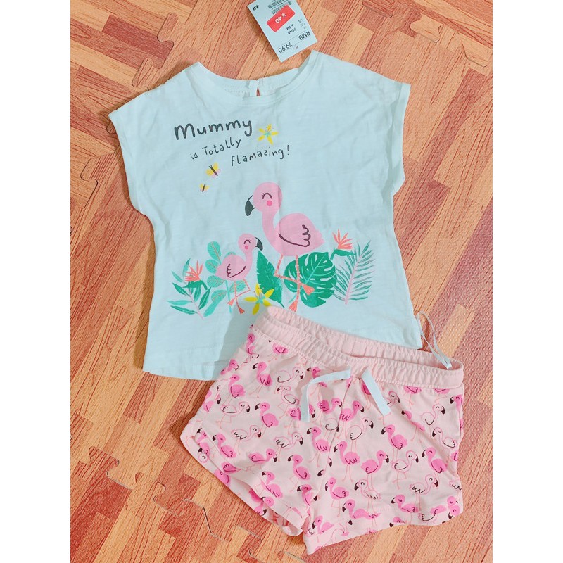 set HM 6/9m