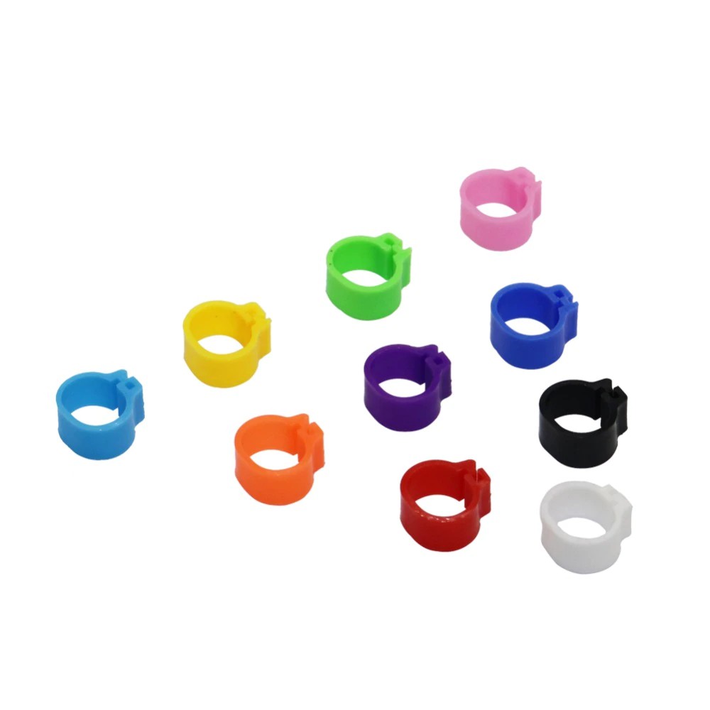 Set 100 Vòng Kẹp Đường Kính Trong 8mm 10 Màu Sắc Dùng Để Cố Định Chân Chim Tiện Dụng