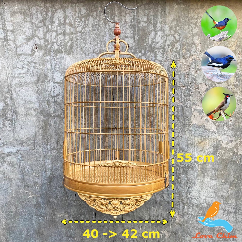 Lồng chim Chòe Lửa, Chòe Than, Chào Mào, Lồng Chòe Lửa - Chòe Than đẹp LOVECHIM