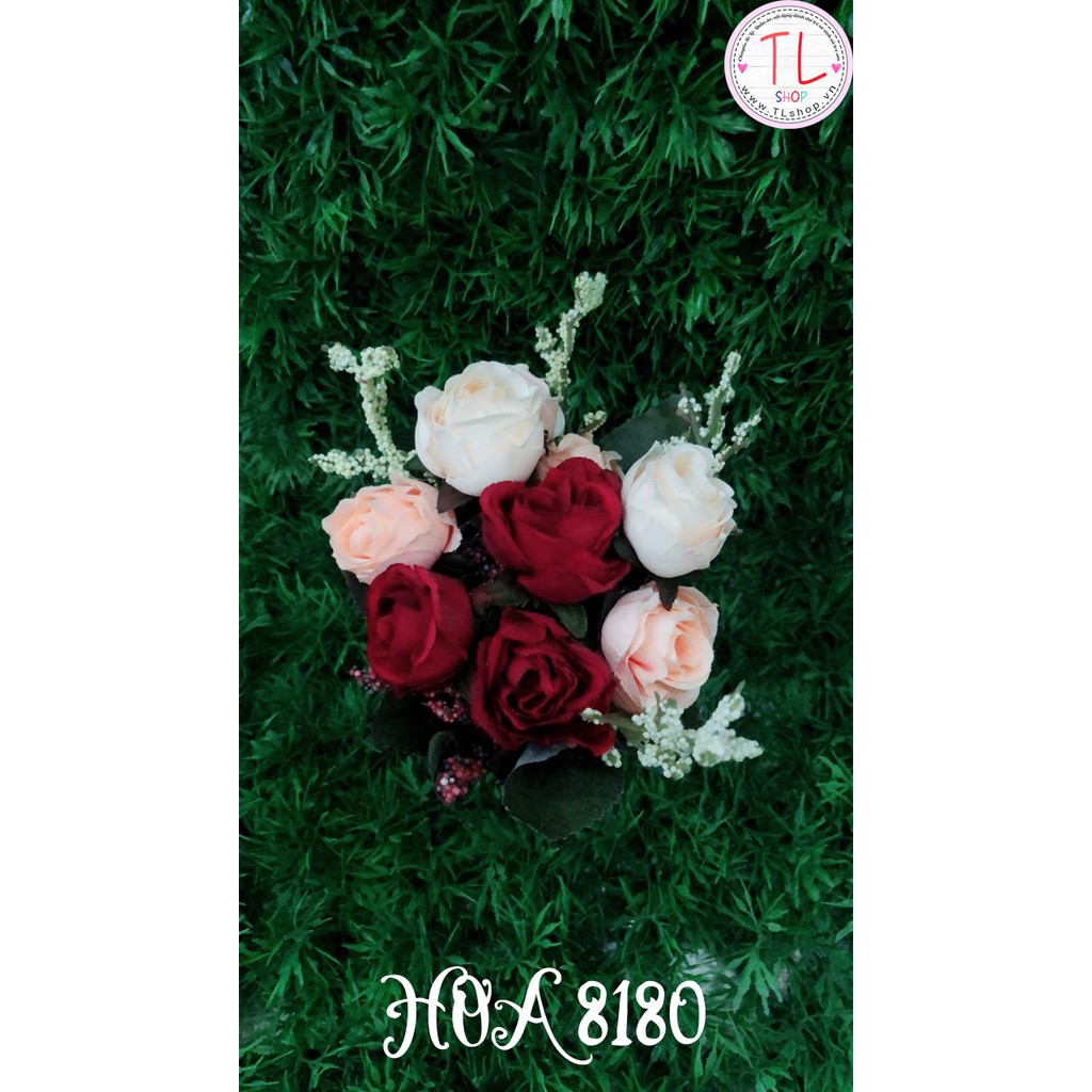 Chậu bông hồng đỏ xinh xắn