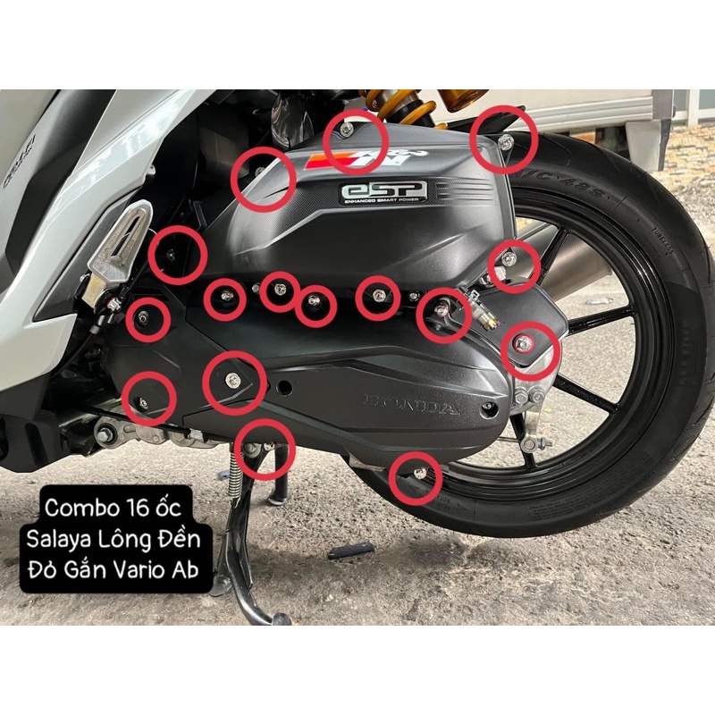 Combo 16 con Ốc Salaya Lông Đền Đỏ gắn Vario Airblade✌