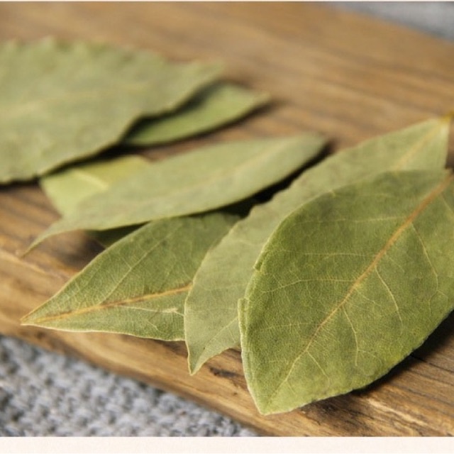 Lá nguyệt quế thơm ( bay leaf ) lá xanh đẹp