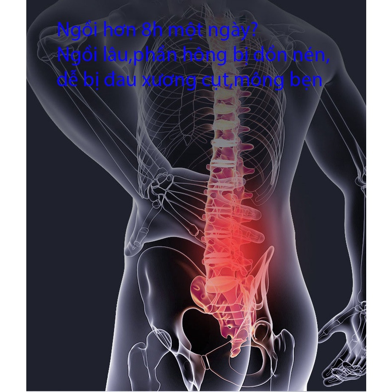 Tựa lưng văn phòng công thái học hỗ trợ giảm đau mỏi lưng và cột sống giúp giữ đúng tư thế và thẳng lưng