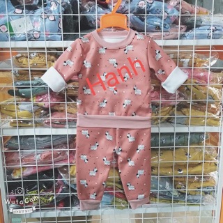 Combo 10 bộ nỉ cho bé