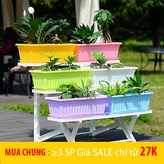 Chậu trồng hoa / chậu trồng cây cảnh