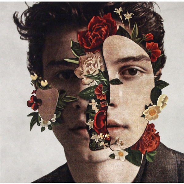 Shawn Mendes - Tập hợp albums