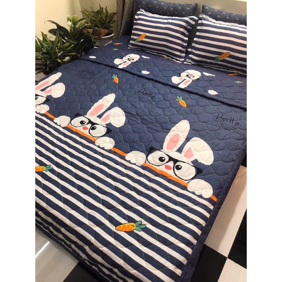 Sét Chăn hè ga gối Cotton Poly Emmidecor Mẫu Thỏ xám