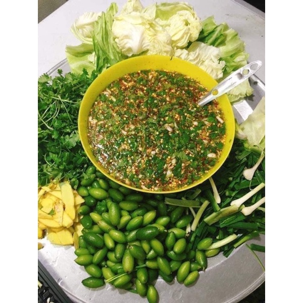 CÂY GIỐNG NHÓT NGỌT QUẢ TO