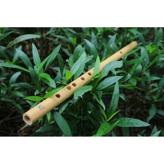 Sáo đô C5 (hàng biểu diễn)