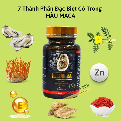 HÀU MACA - Hỗ trợ làm chậm quá trình mãn dục nam