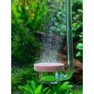 Cốc Sủi C02 NEO Siêu Mịn AQUARIO DIFFUSER - Normal Special