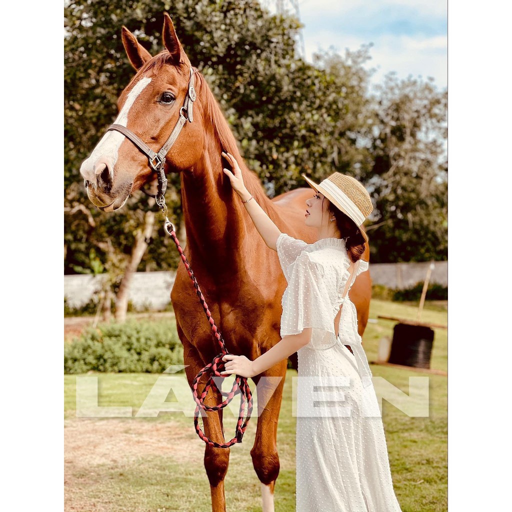 Đầm maxi voan hạt nổi hở lưng dáng xòe tay cánh tiên-đầm hở lưng