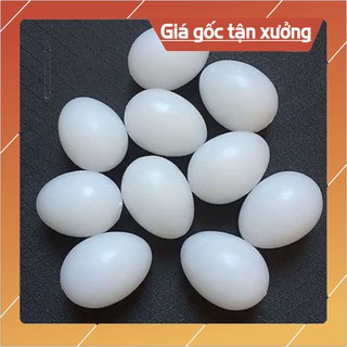 BỘ 10 Trứng Giả Đặc Cho Bồ Câu