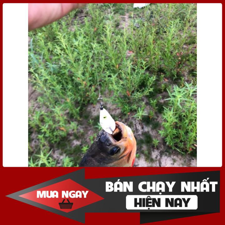 Mồi lure nhái hơi F35{ chìm - lững } HOẶC Body f35 Dòng sản phẩm nhái hơi TNTLures chuyên săn lóc,vược...