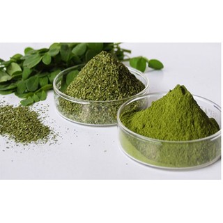 TINH BỘT RAU CHÙM NGÂY