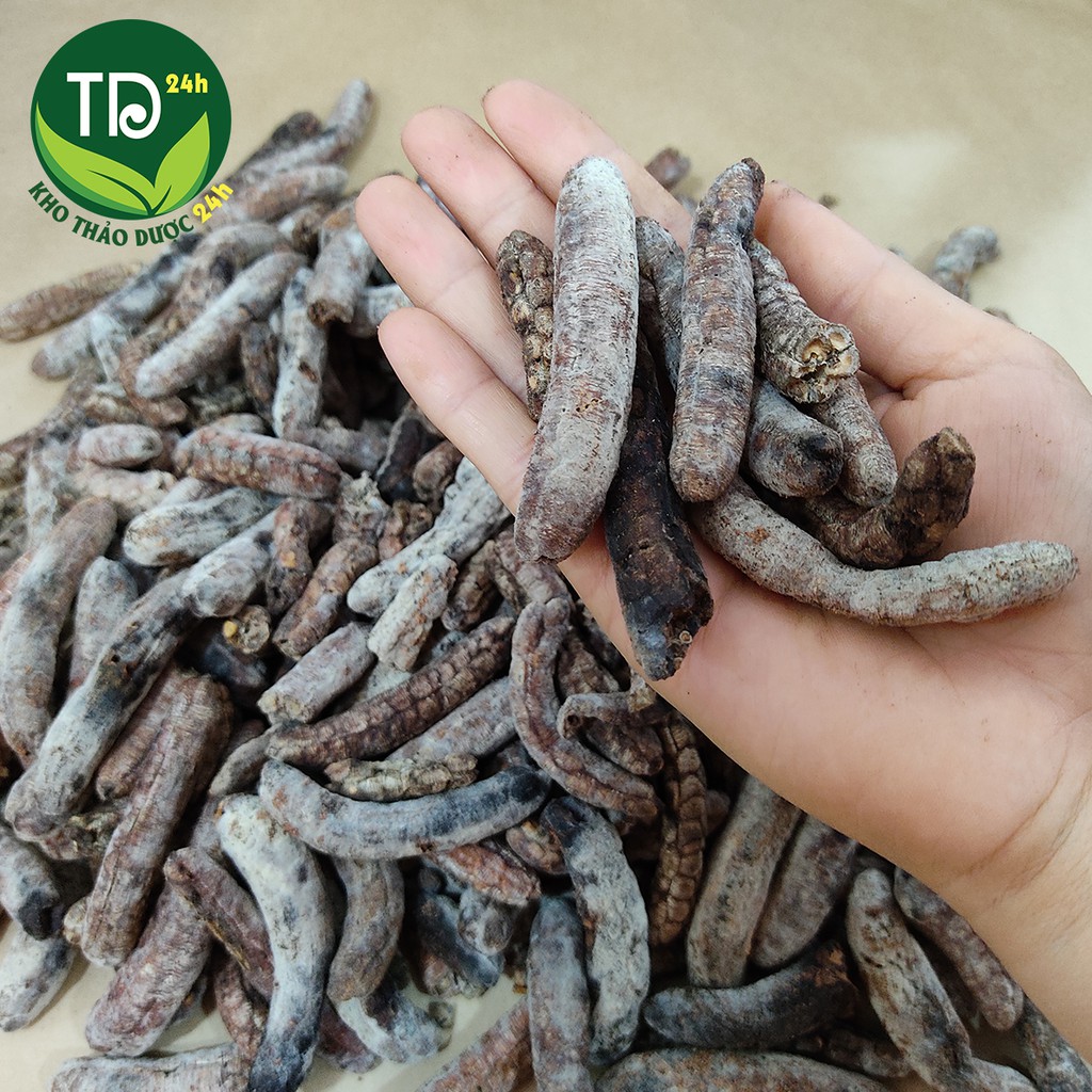 [1kg] Chuối hột rừng Tây Nguyên, hết đau lưng, nhức mỏi cơ thể, xương khớp | Kho thảo dược 24h