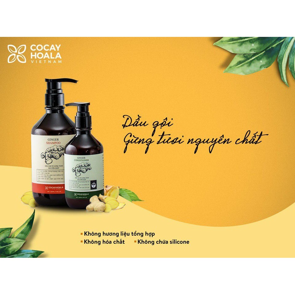 Combo dầu gội và dầu xả Gừng Cỏ cây hoa lá | BigBuy360 - bigbuy360.vn