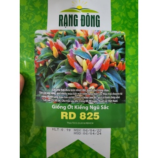 Hạt giống ớt kiểng ngũ sắc rạng đông rd 825
