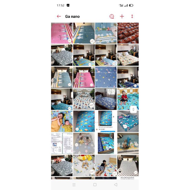 Combo ga chống thấm cotton