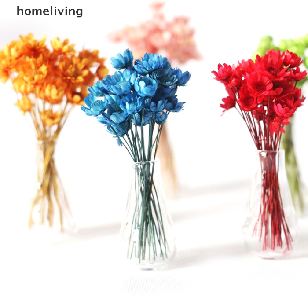 Chậu Kính Trồng Hoa Khô Trang Trí Nhà Búp Bê Tỉ Lệ 1: 12