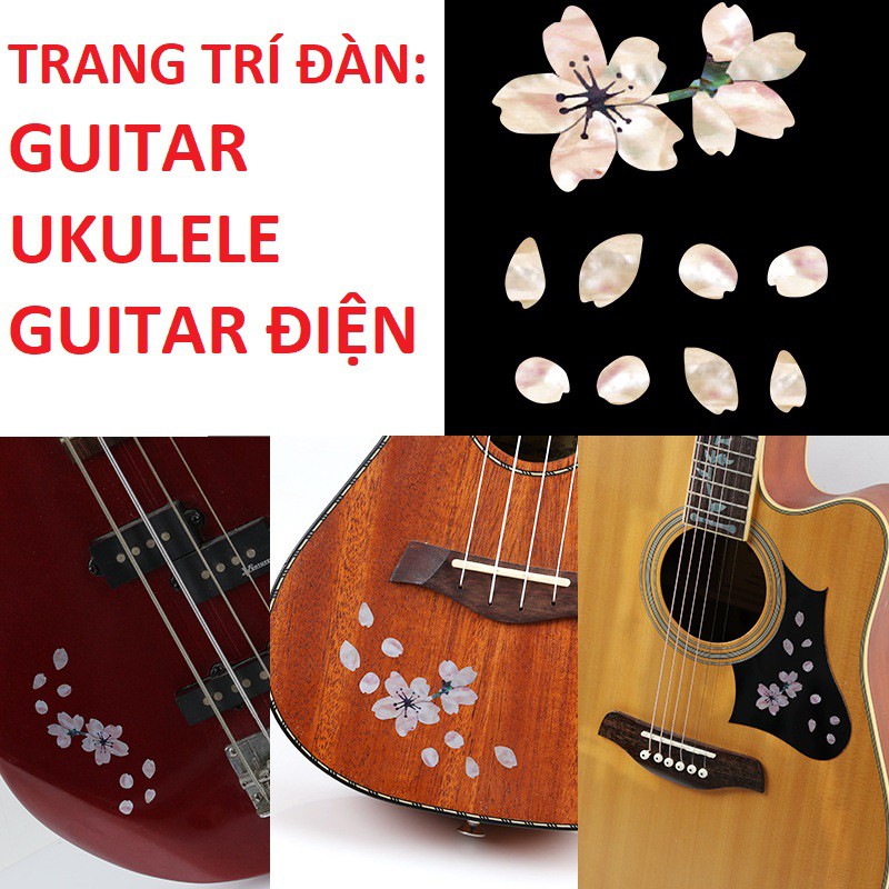 Mảnh TRANG TRÍ ĐÀN GUITAR UKULELE