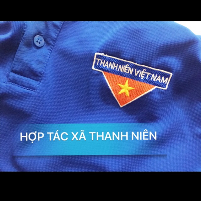 Combo 10 áo thun