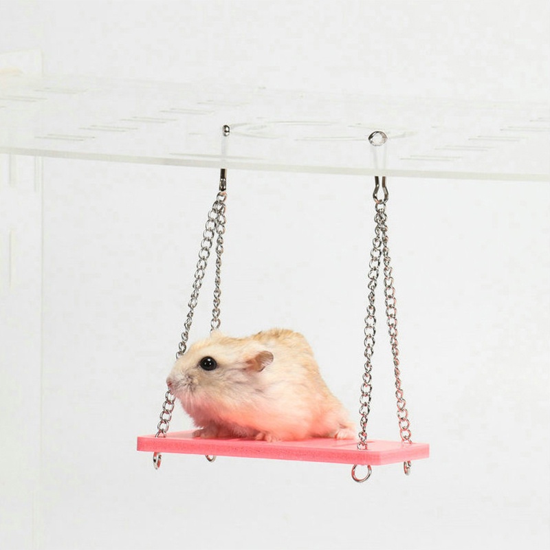 Đồ chơi xích đu luyện tập thể dục treo lồng dành cho vẹt/ chuột hamster