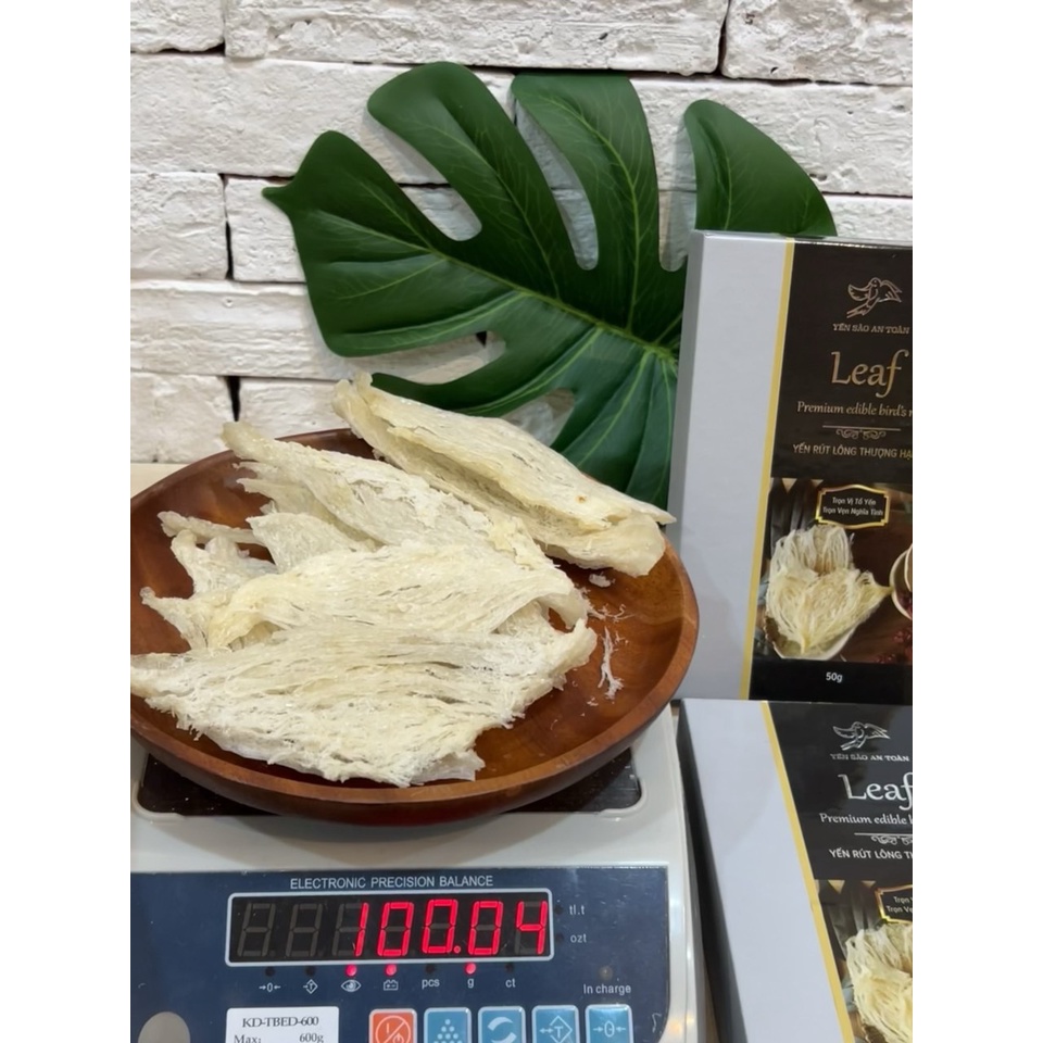 Yến sào Khánh Hoà nguyên chất, Tổ yến rút lông KHÔNG VỤN 100% SỢI GÂN thượng hạng, dòng xuất khẩu tại Yến Sào An Toàn