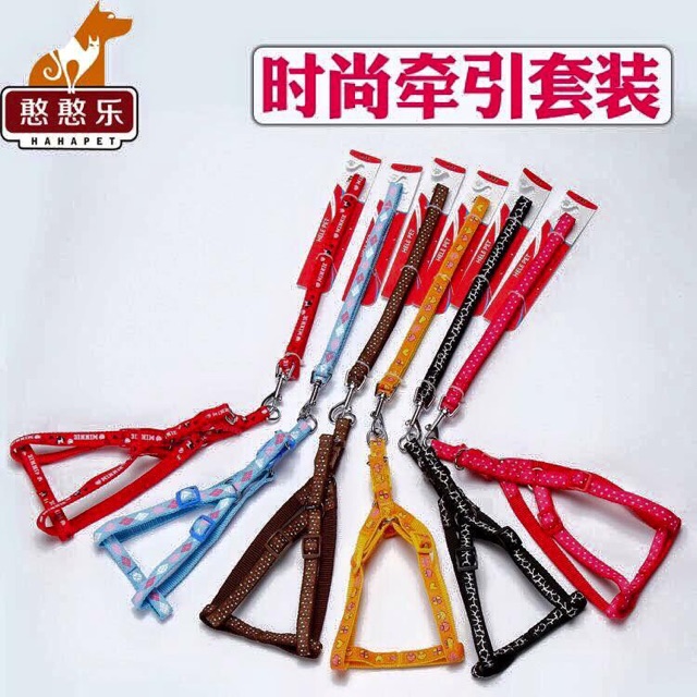 Dây dắt đai người cho chó