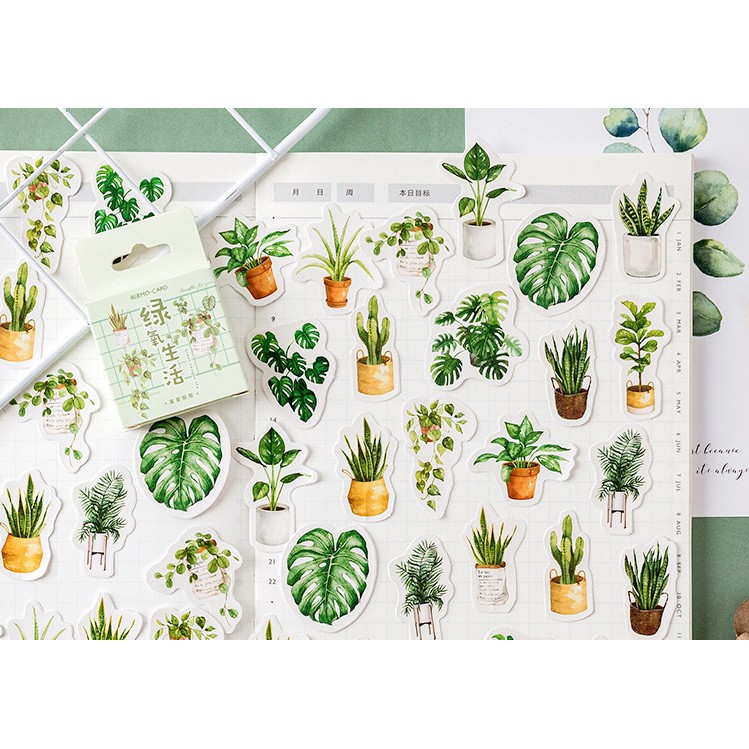 Hộp 45 miếng sticker mẫu chậu cây xanh rêu