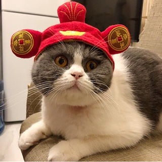 Nón Tết thần tài cho mèo, chó nhỏ