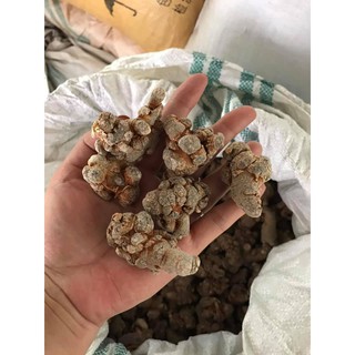 Củ Tam Thất Bắc Khô 500g