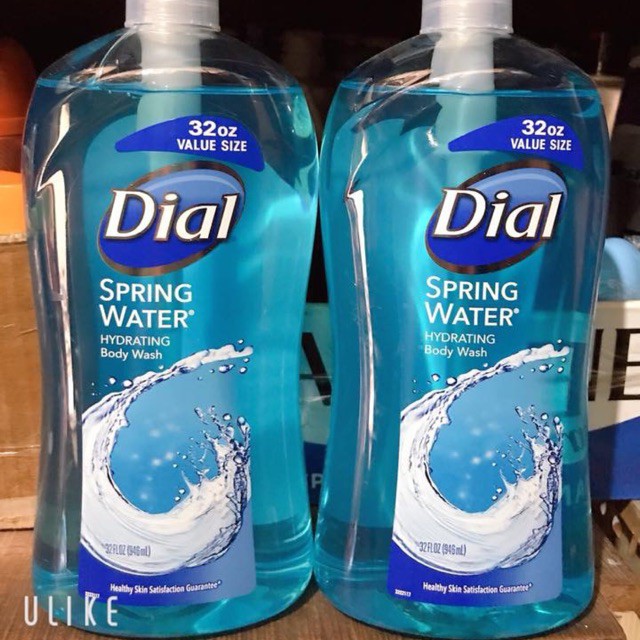 Tắm DIAL Spring Water all day freshness 946ml | BigBuy360 - bigbuy360.vn