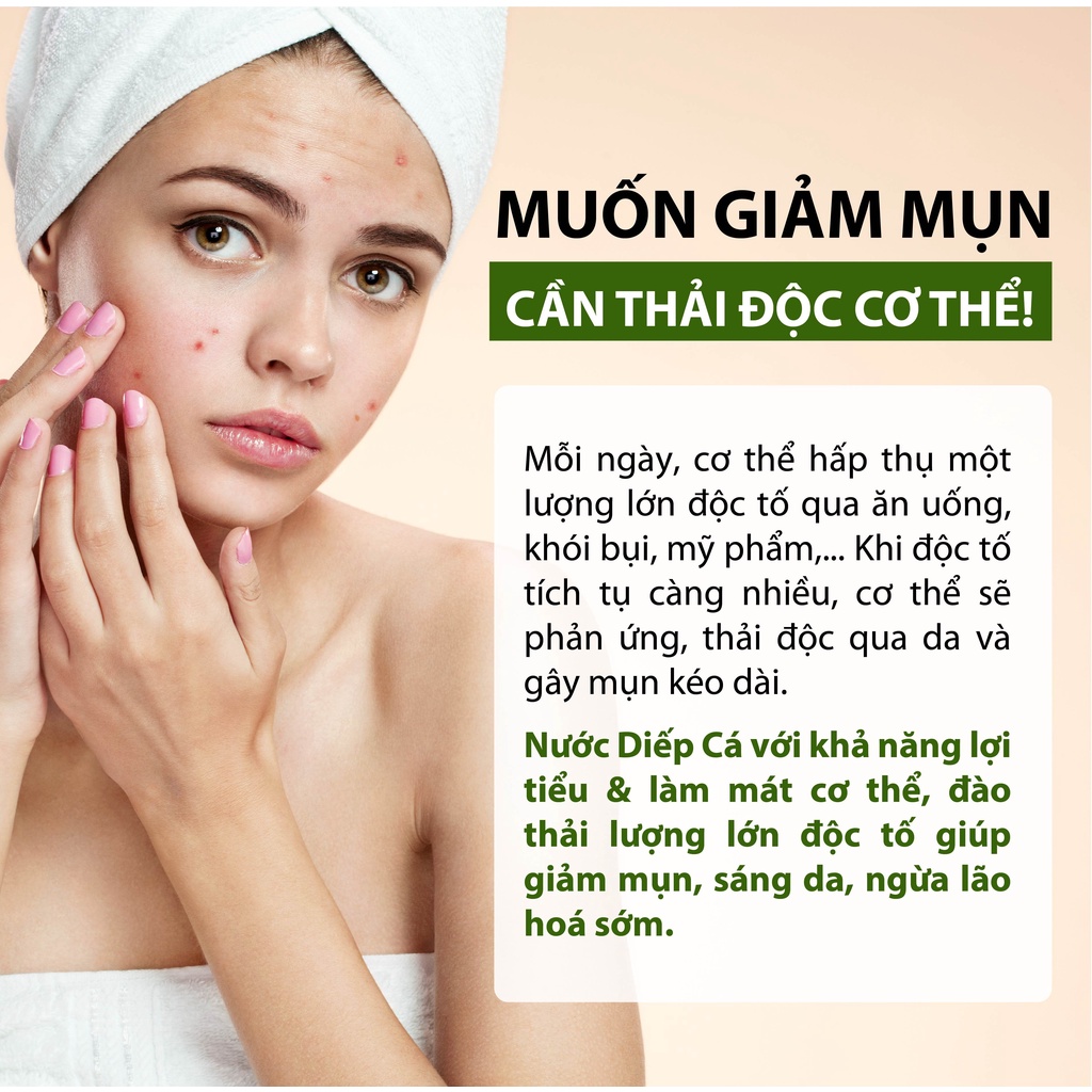 Bột Rau Diếp Cá Nguyên Chất Sấy Lạnh Sáng Da, Detox Cơ Thể, Giảm Cân Uống Trực Tiếp MODOTOX 65gr (Hũ)