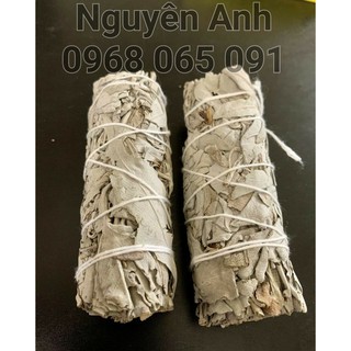 XÔ THƠM TRẮNG - WHITE SAGE - Bó size tiêu chuẩn