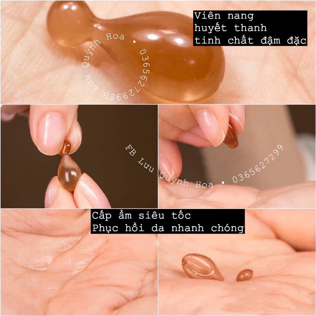 [Mã COS1904 giảm 8% đơn 300K] Viên nang phục hồi da Estee Lauder Advanced Night Repair 10 viên | BigBuy360 - bigbuy360.vn