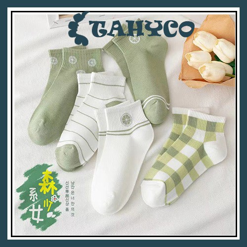 Tất nữ cổ ngắn chất liệu cotton dễ thương phong cách Hàn Quốc TAHYCO TN05 2 ĐÔI