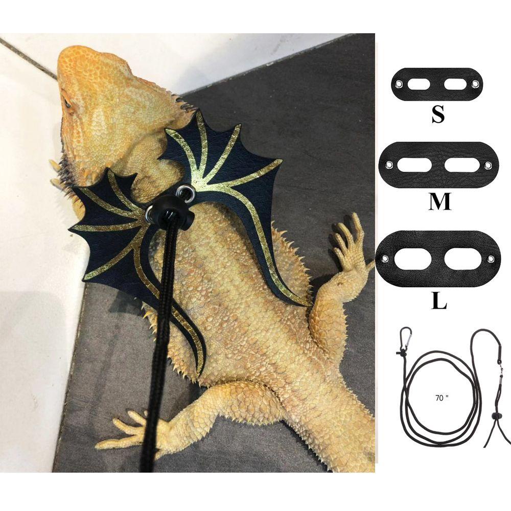 Dây Kéo Thằn Lằn Có Thể Điều Chỉnh Nhiều Kích Cỡ