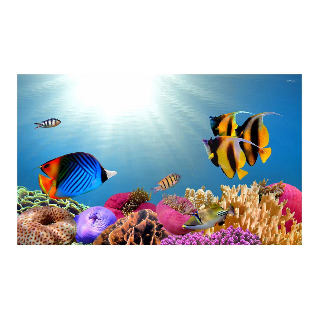 TRANH DÁN HỒ CÁ NHIỀU KÍCH THƯỚC_THIẾT KẾ NÀNG THƠ