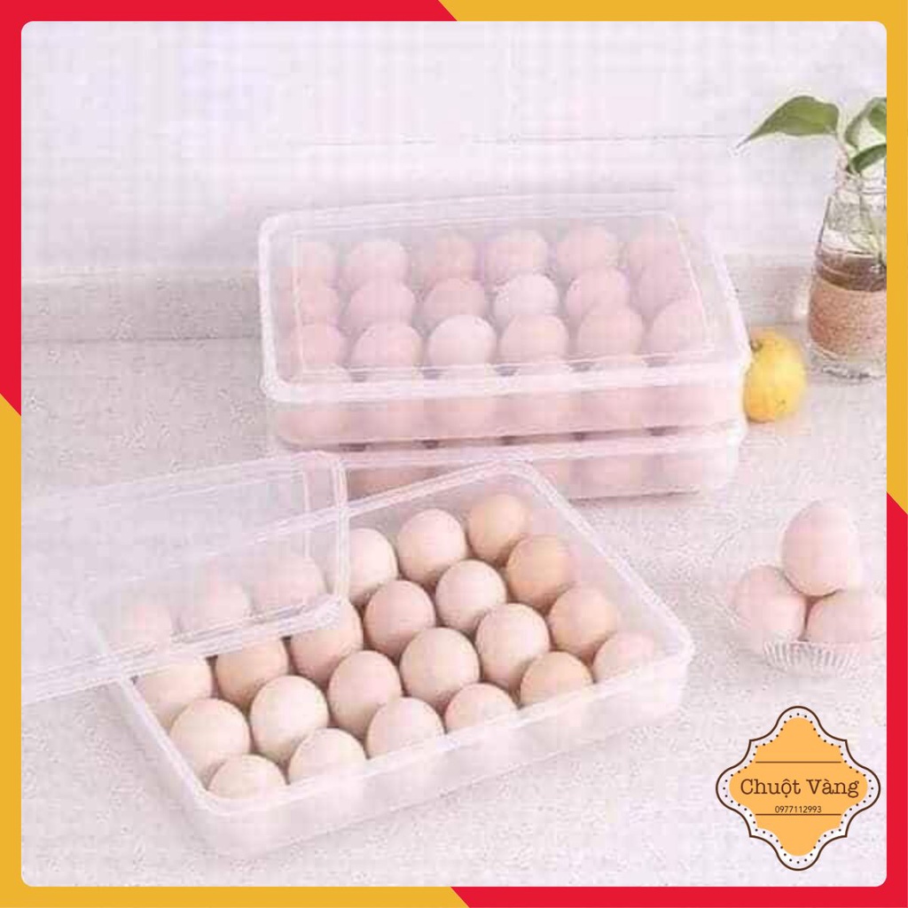Hộp đựng trứng 1 tầng 24 quả