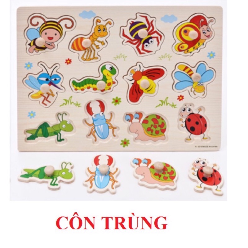 XẢ KHO - 1 Bảng gỗ có núm chủ đề ngẫu nhiên cho bé học tập, vui chơi ghép hình